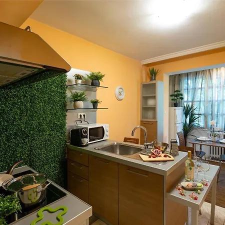 Large Terrace + Quiet Apt Apartment Sofia