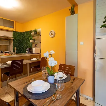 Large Terrace + Quiet Apt